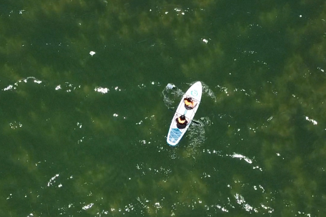 Aerial view of two paddlers in life vests on a stand-up paddleboard moving across green water.