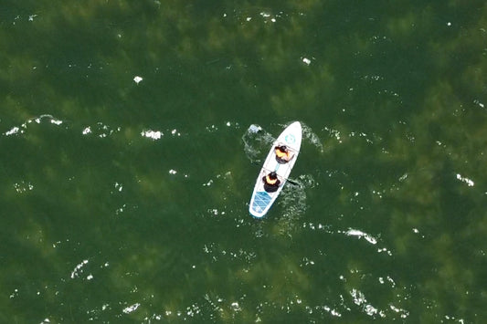 Aerial view of two paddlers in life vests on a stand-up paddleboard moving across green water.