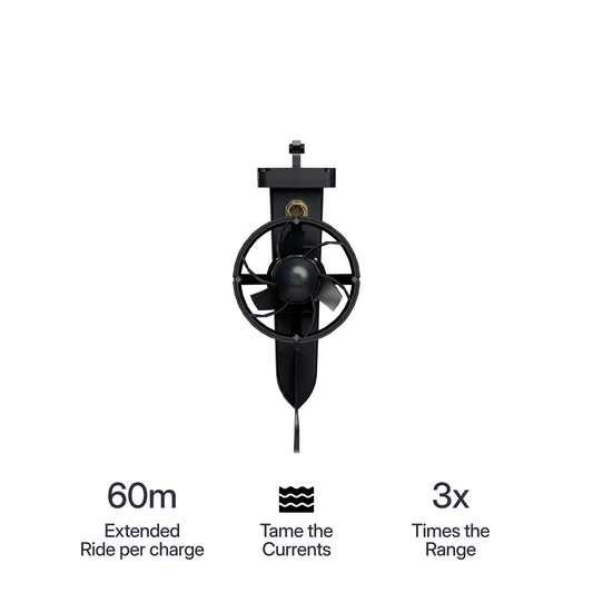 Single Motor